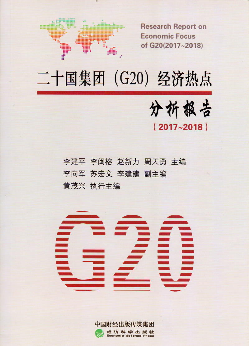 鸡巴网站9二十国集团（G20）经济热点分析报告（2017-2018）